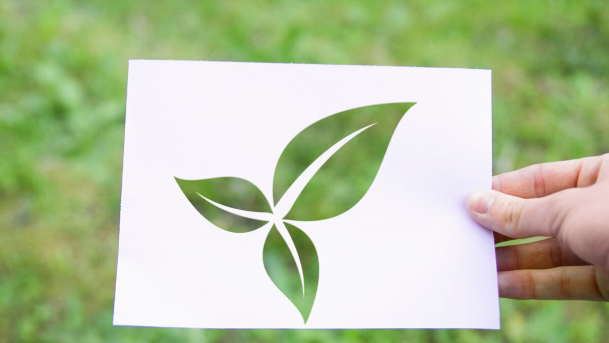 Les 3 meilleurs organismes de certification Ecocert pour garantir la qualité en 2026