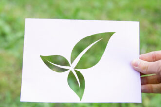 Les 3 meilleurs organismes de certification Ecocert pour garantir la qualité en 2026
